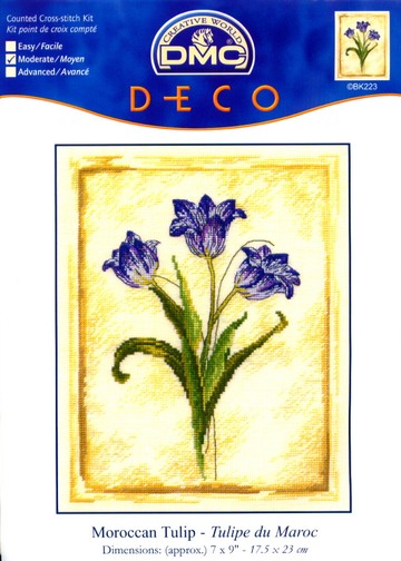 BK223 Moroccan Tulip_cov