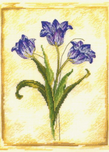 _BK223 Moroccan Tulip-pic