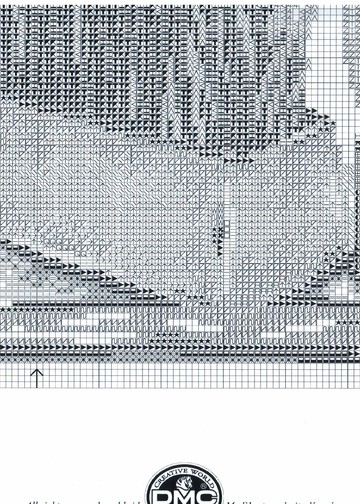 DMC_BK245_4
