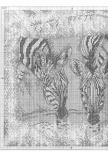 BK270 Zebras at the Drinking Pool1