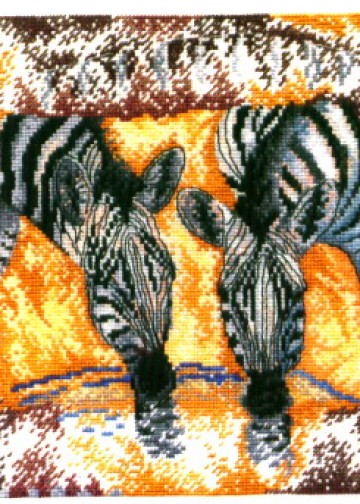 BK270 Zebras at the Drinking Pool