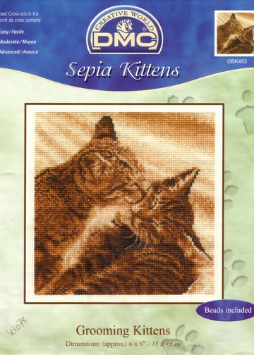 grooming kittens1