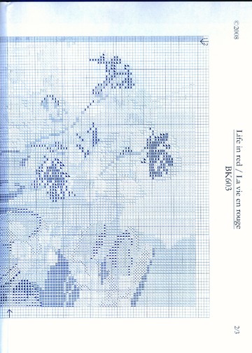 SWScan01644