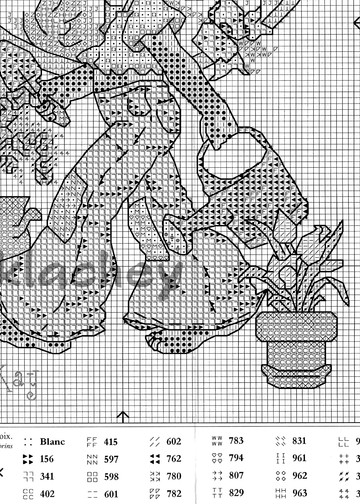 BL555-61-Floral Floral 3