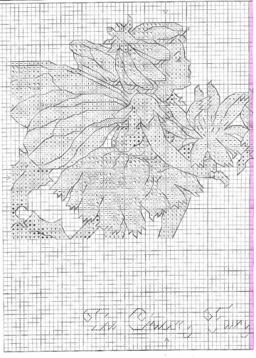 The Chicory Fairy 1