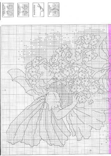 The Heliotrope Fairy 1