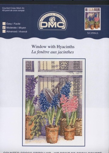 XC0984 Window with hyacinths